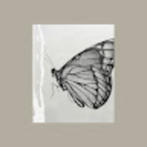 Meet your Posher, Thuần linh